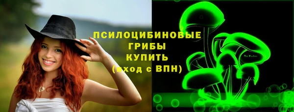 Альфа ПВП Горнозаводск