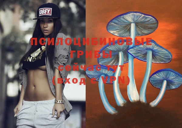 спиды Дмитровск
