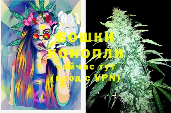 стаф Горно-Алтайск