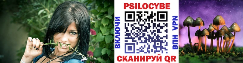Галлюциногенные грибы мицелий  Купить закладки  Серафимович 